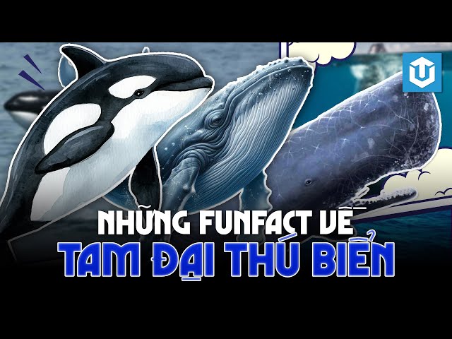 SỰ THẬT THÚ VỊ VỀ TAM ĐẠI ĐỘNG VẬT ĐỈNH NHẤT ĐẠI DƯƠNG HIỆN ĐẠI