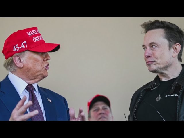 Elon Musk says President Donald Trump has 'agreed' USAID should be shut down