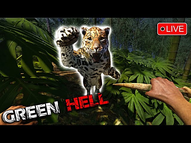 GREEN HELL SURVIVAL GAME OTHER GAMES LATER