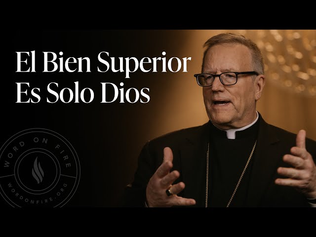 El Bien Superior es Solo Dios — Sermón del Domingo del obispo Robert Barron