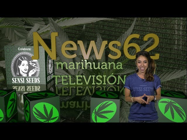 Marihuana legal en farmacias de Uruguay. POMADA DE CANNABIS. Policía por la LEGALIZACIÓN. News 62