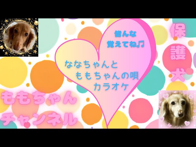 【保護犬ももちゃんチャンネル】　ななちゃんとももちゃんの唄 カラオケVer.【公式テーマsong】