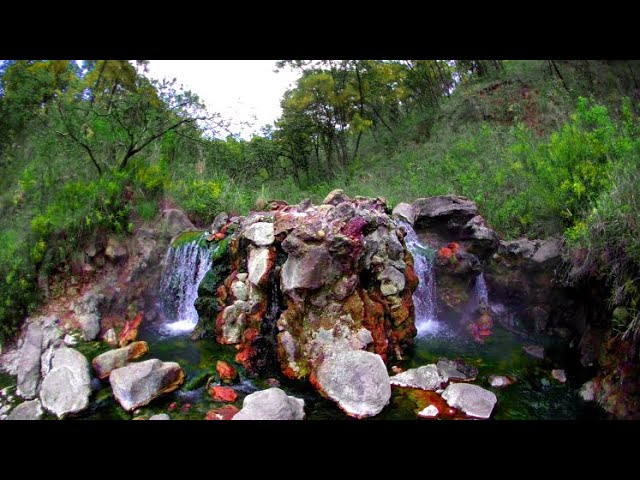 Río caliente en el bosque de la primavera