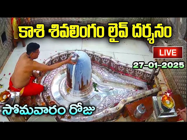 LIVE: కాశీ శివలింగం లైవ్ దర్శనం | Monday Kashi live Darsanam | Monday lord Shiva Bhakti Songs Telugu