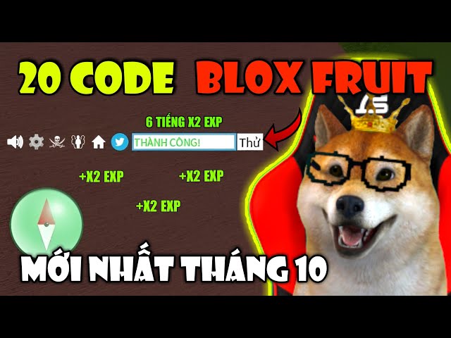 Tổng Hợp 20 Mã CODE X2 Kinh Nghiệm Và Reset Chỉ Số STAT Mới Nhất Tháng 10 Trong Blox Fruit | Roblox