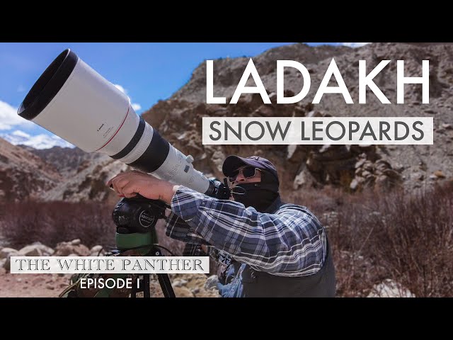 Filming SNOW LEOPARDS in Ladakh | THE WHITE PANTHER with Kenneth Lawrence Ep1 - WILDLIFE PHOTOGRAPHY