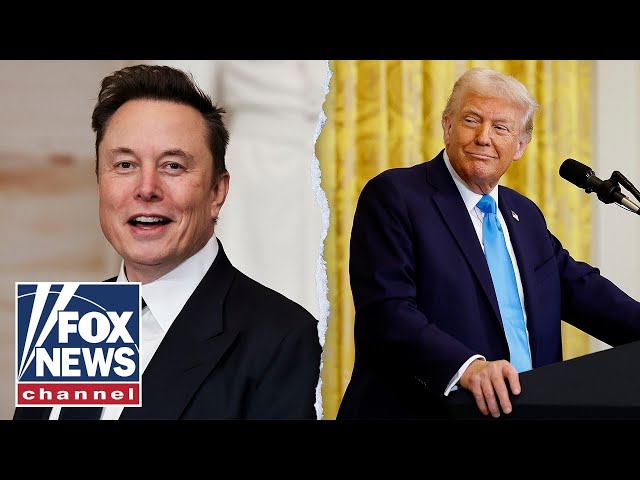 Elon Musk finding fraud and abuse: President Trump