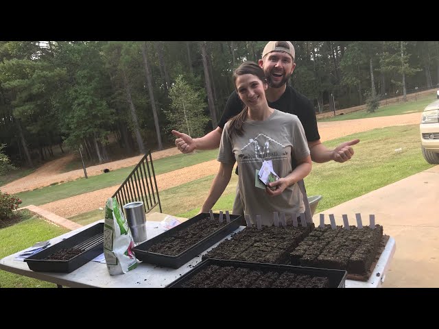 What to Plant in October?? | Why Soil Blocks - The Mac’s Happy Homestead