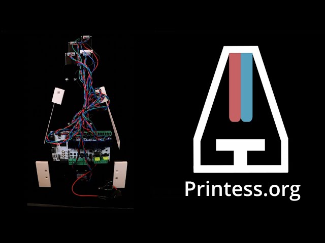 Build Instructions for Printess: A Low-Cost, Open-Source 3D Bioprinter From Scratch