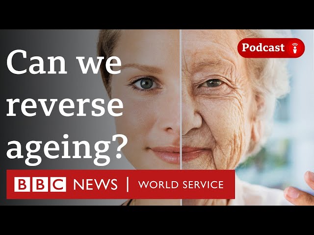 Have we already found the fountain of youth? - The Global Story, BBC World Service