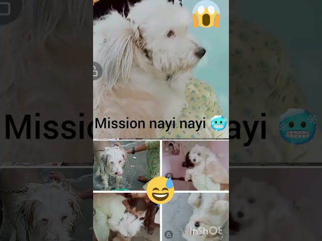 Mission nayi nayi 🥶🤣😅