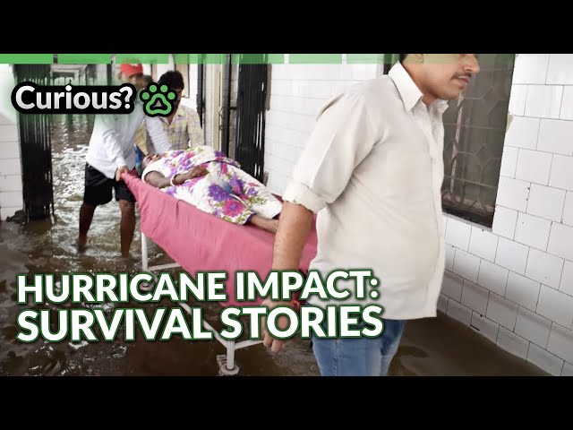 Hurricane Impact Insights | Deadly Disasters | Curious?: Natural World