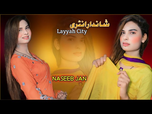 Dil De Pyare Akh De Tare _ Zakir Ali Shaikh _ New Official Song 2025 _ Entry By Naseeb Jan Layyah