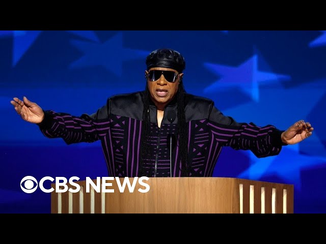 Stevie Wonder urges people to "choose courage over complacency" at DNC