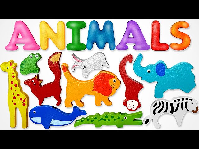 LIVE: Explore Animals with Fun Toys 🐾 | BEST Learning Video for Kids