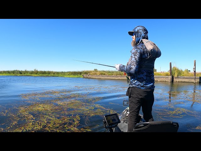 Kayak Bass Fishing on A HOT Summer Day | CALIFORNIA DELTA