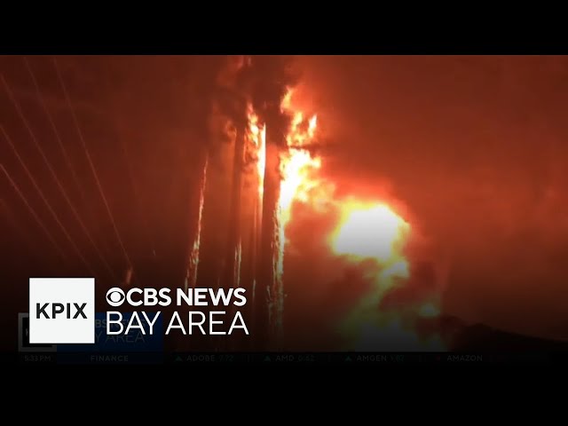 Redwoods at Big Basin show resilience 5 years after CZU Fire