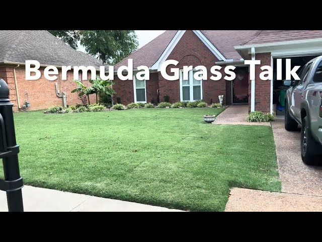 How to get Bermuda Grass to Spread and fill in bare spot in the lawn.