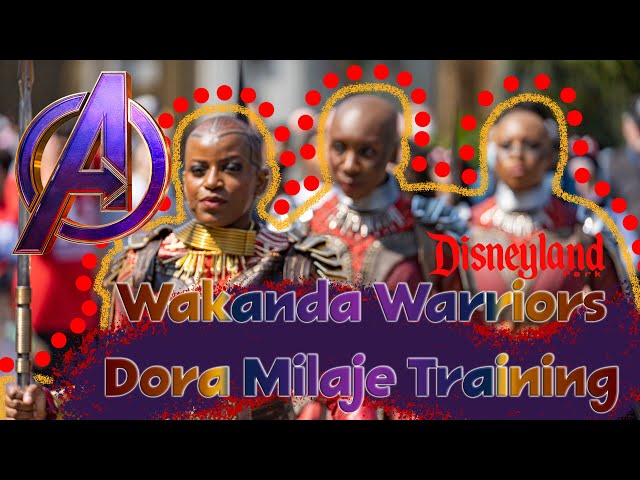 Experience Wakanda Warriors Training in 3D Virtual Reality at Disney California Adventure!