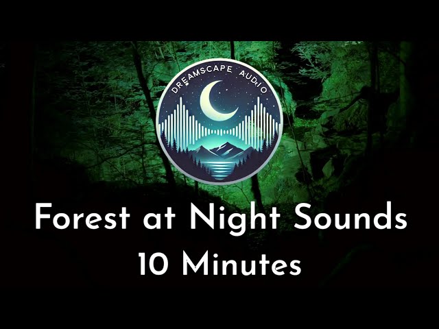 🌲 Forest at Night Sounds | Relaxing Nature Ambience with Crickets & Night Wildlife for Deep Sleep 🌙