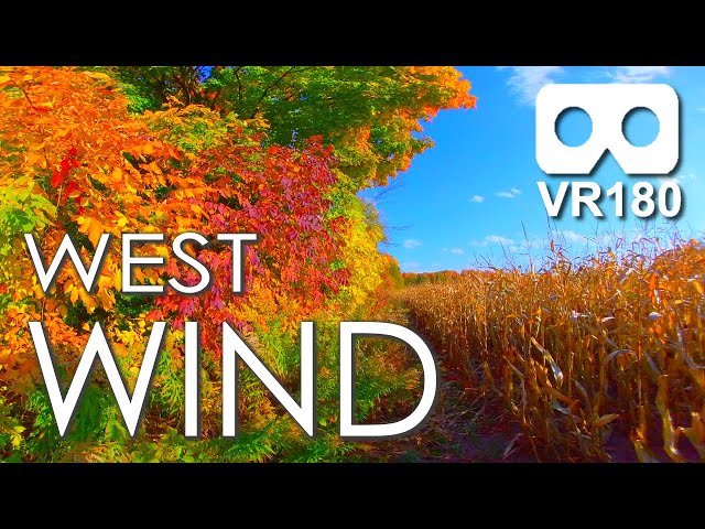 West Wind: Soothing Ambient Wind Sights & Sounds in VR / ASMR