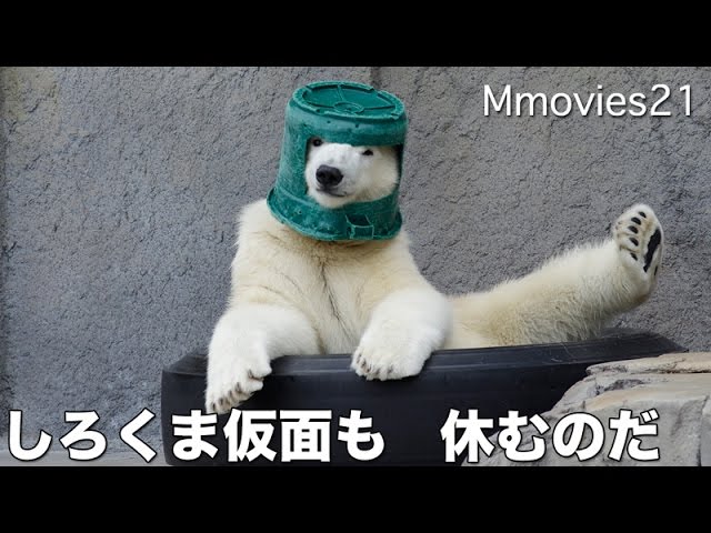 Holiday of Polar Ranger しろくま仮面の休日