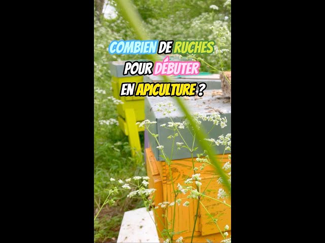 Combien de ruches pour débuter en apiculture ?