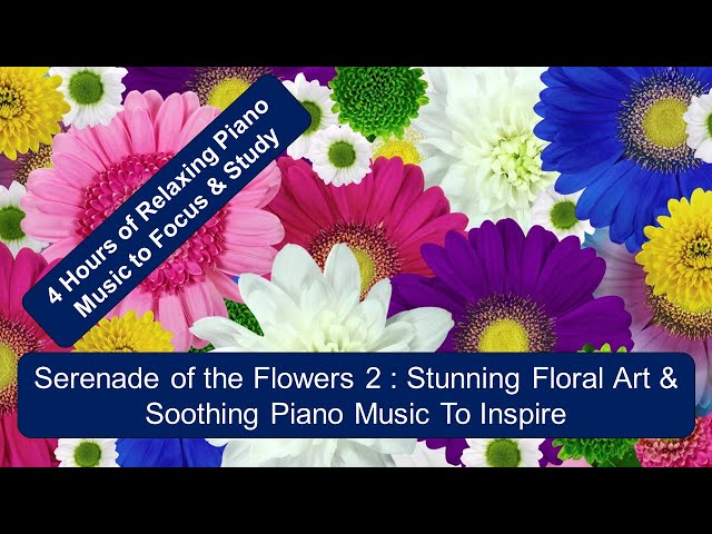 Serenade of the Flowers 2: 4 Hours of Soothing Piano Music and Colorful Floral Art