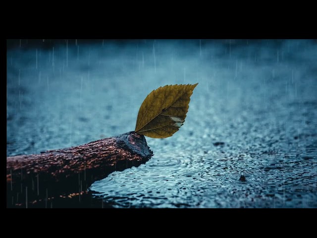 Relaxing rain sound for deep sleeping