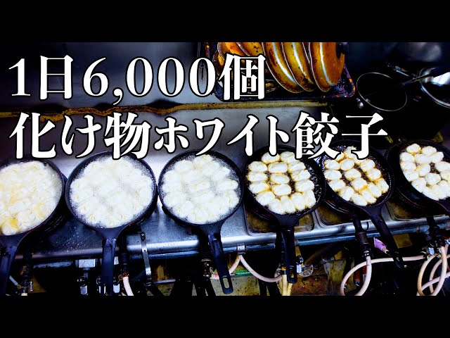 【ホワイト餃子】1日平均6000個!全国から注文が入る有名餃子店に潜入!自宅での焼き方も参考にもなります White gyoza