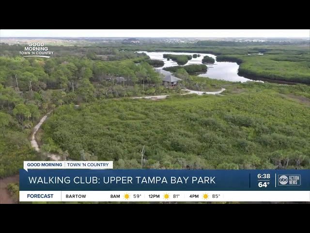 Walking Club: Exploring Upper Tampa Bay Park