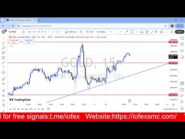 GOLD DAILY FORCAST UPDATE | 10 FEBRUARY 2025 | XAUUSD|