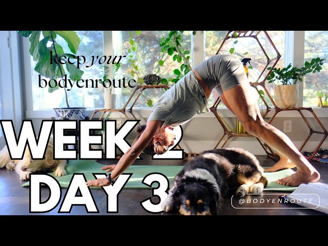 Week 2 day 3 MOBILITY CHALLENGE FOLLOW ALONG!!