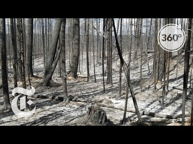 Battling Wildfires In British Columbia | The Daily 360 | The New York Times