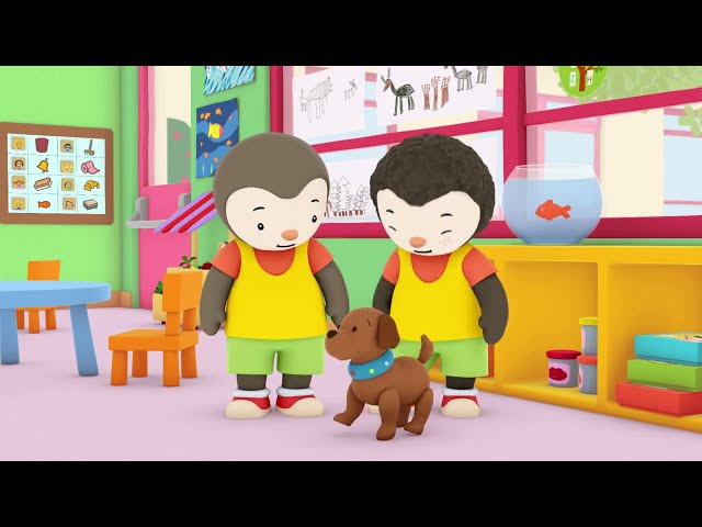 Charley goes to school by T’Choupi - A Puppy at School (S02E07)