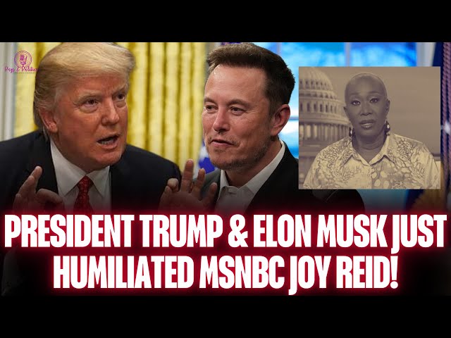 President Trump & Elon Musk Just Humiliated MSNBC & Joy Reid!