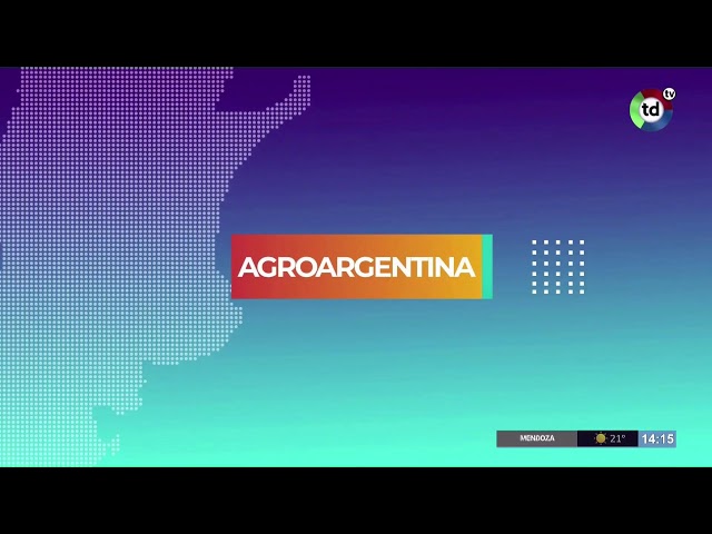 Telediario Televisión - Canal 13 Río Cuarto en VIVO