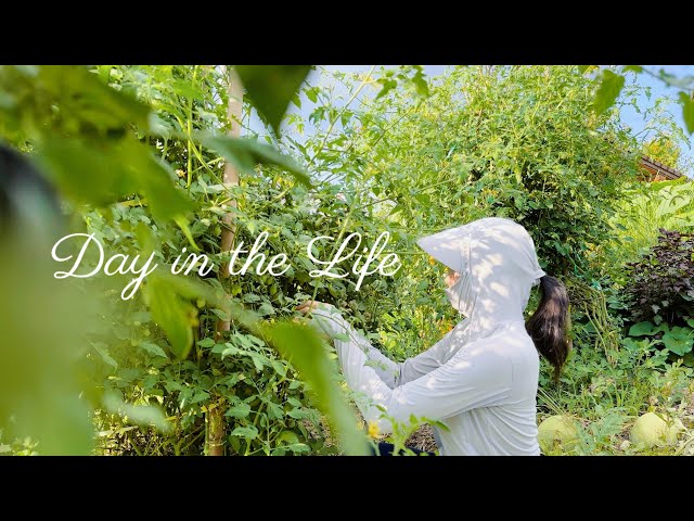 Chill Vlog ☘️ Our Sustainable Home Garden in the Countryside & Grocery Shopping