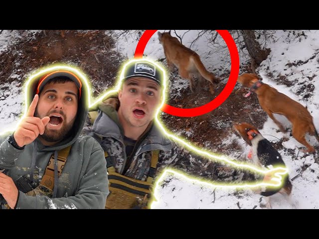 Hunting a Mountain Lion with Braydon Price!