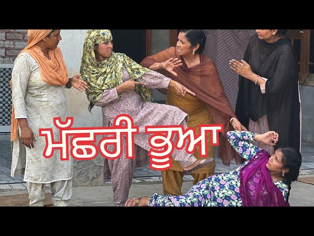 ਮੱਛਰੀ ਭੂਆ|| machri bhuaa||#punjabishortstory2023 #comedy @Guribebe