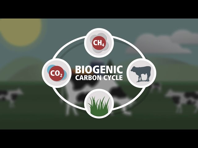 Biogenic Carbon Cycle