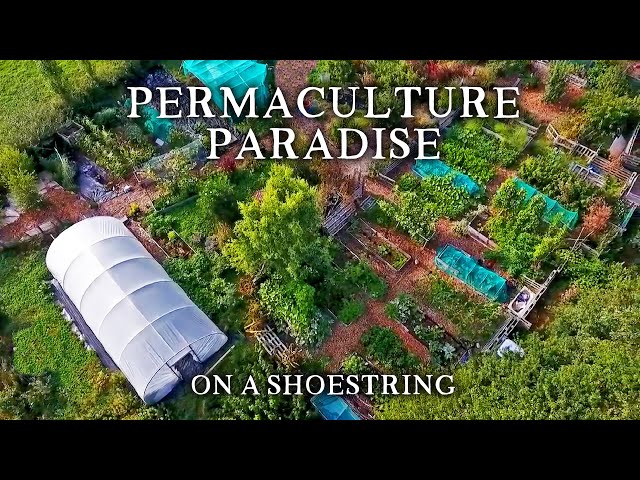 Inspirational Small-Scale Permaculture Homestead | Low Cost Self-Sufficiency on Less Than an Acre