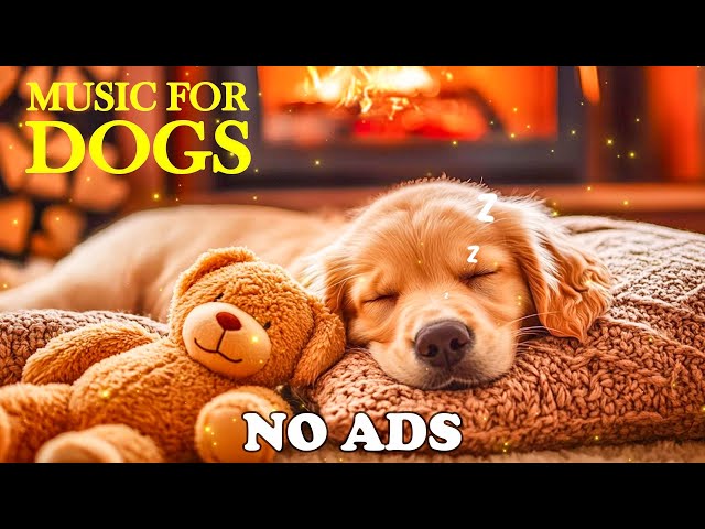 12 HOURS of Calming Music For Dogs🐶🎵 The Best Anti-Anxiety Music for Dogs & Stress Relief for Dogs