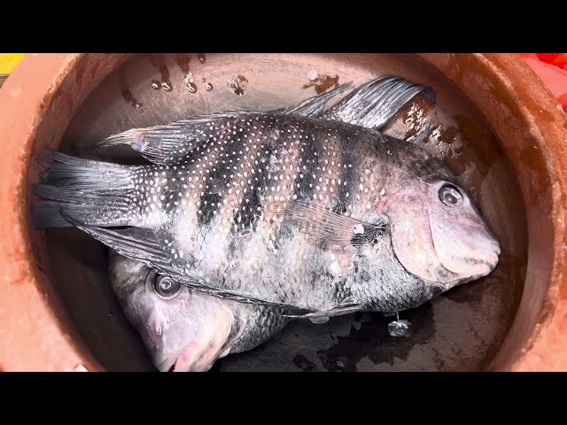 കരിമീൻ പൊള്ളിച്ചത് / Karimeen Pollichathu ,Pearlspot Recipe !! #abhiscafe