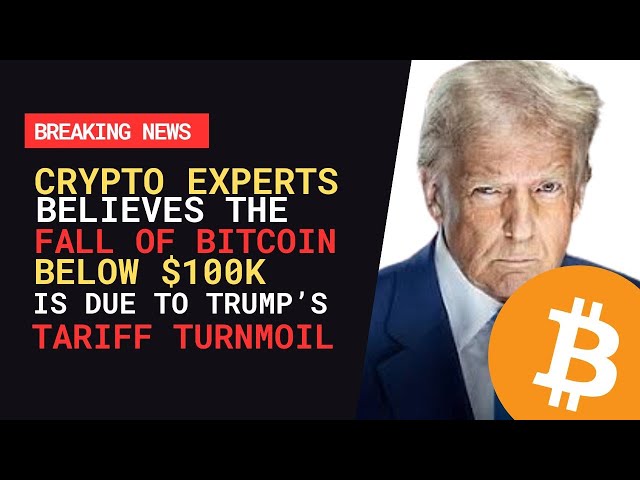 Crypto Experts Believes The Fall of Bitcoin Below #donaldtrump #trump2025 #trumpadministration