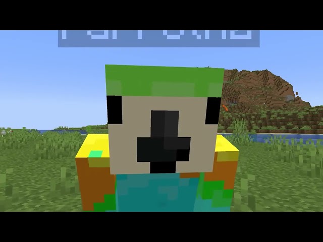 I Secretly Hacked on TommyInnit! (Minecraft Game.)