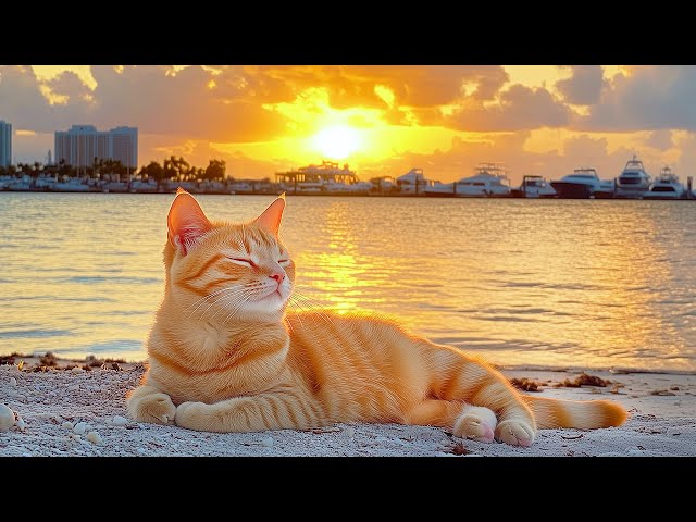 Peaceful Cat Music to Reduce Stress and Anxiety – Calming Background Music for Cats 🎵🐈