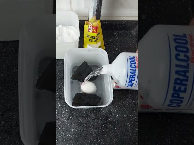 Veja o que aconteceu com o ovo! 😱 A incrível mistura de Carvão + Álcool + Bicarbonato de sódio