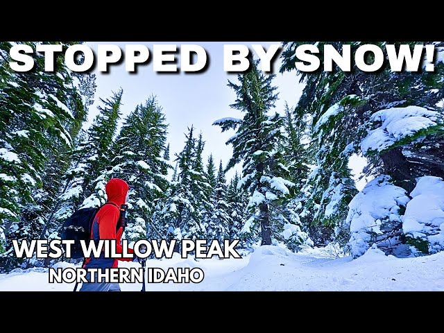 Stopped By Snow! Hiking West Willow Peak in Northern Idaho