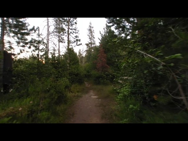 Early evening stroll down to Sand Pond (VR180)